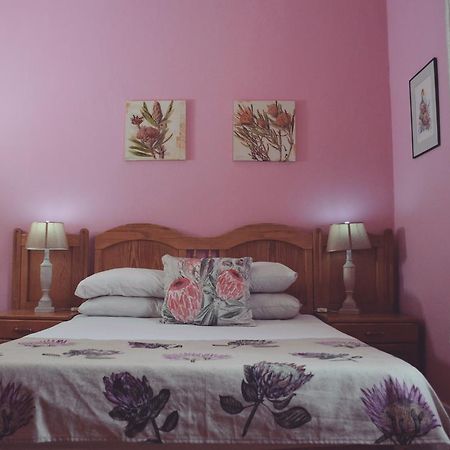 Homebase Melville Backpackers Johannesburg Luaran gambar